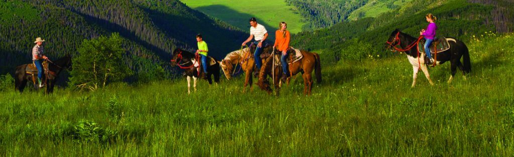 A group of people riding horses in a grassy field in Vail. They are surrounded by green foliage on a sunny day.