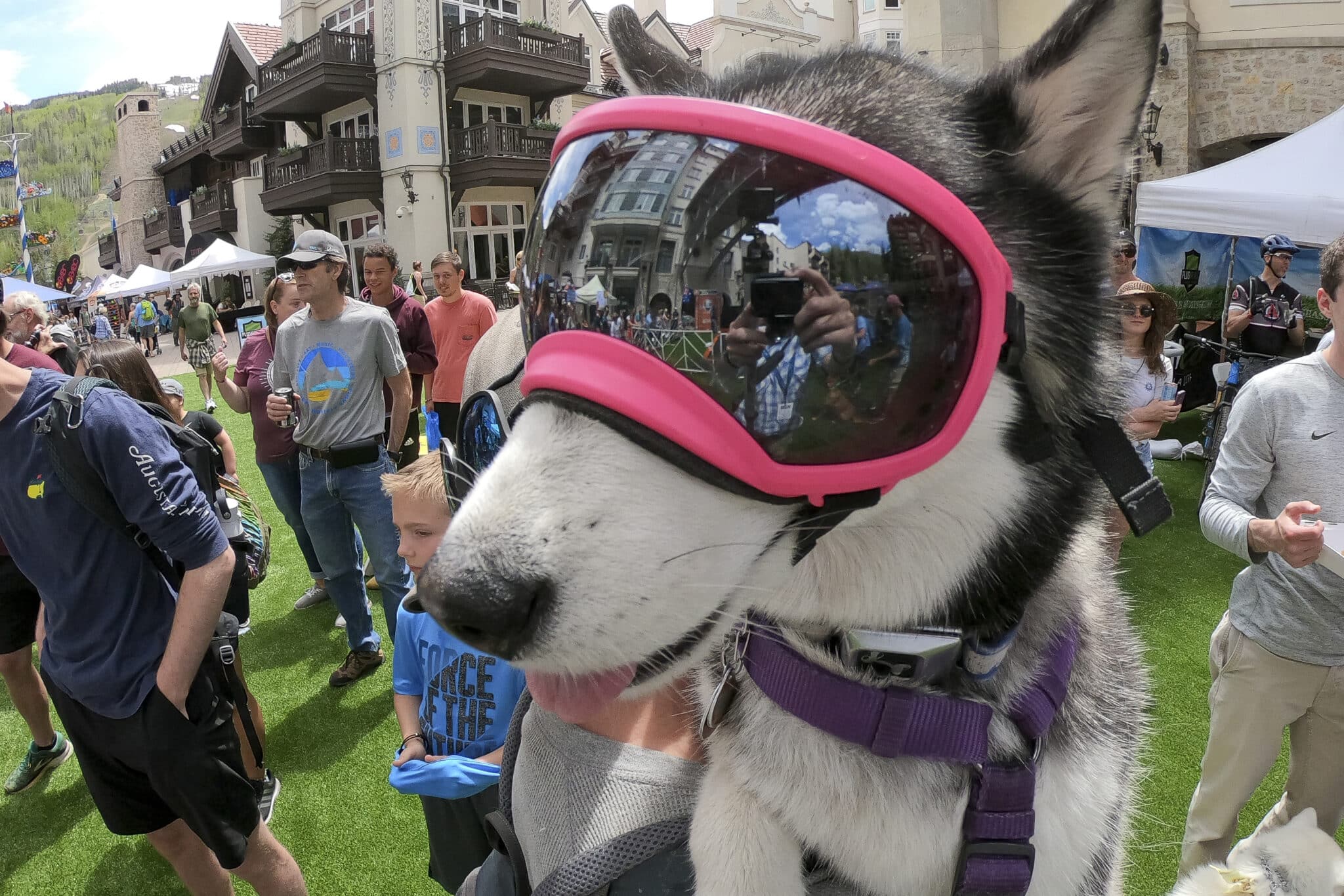 Doggles dog by Dan Davis GoPro Mountain Games 2019