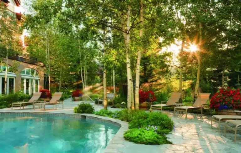 The outdoor swimming pool at Sonnenalp Hotel shimmers blue-green in the morning light, surrounded by summer foliage in bloom.