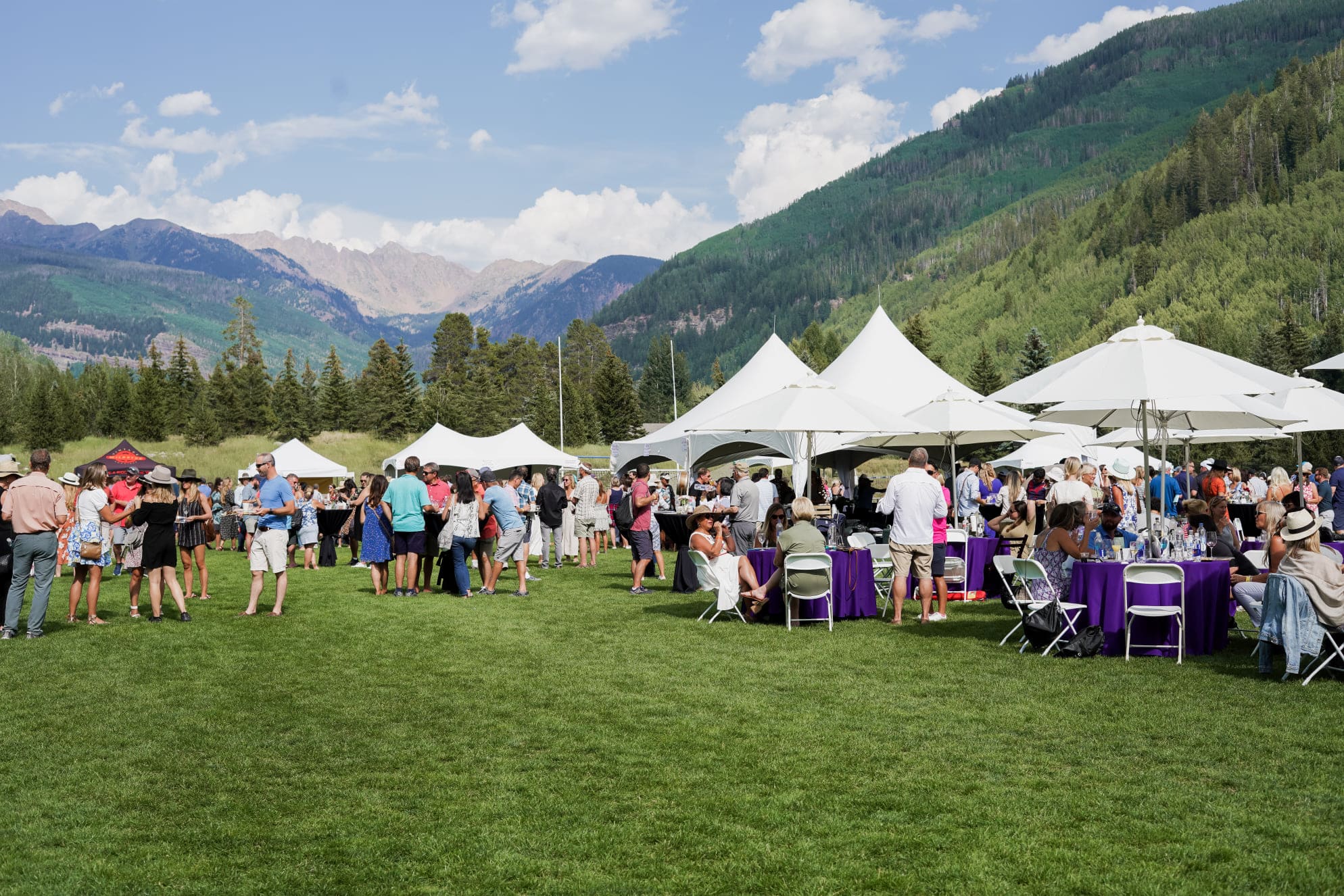 A crowd of people at a festival in a grassy field with mountains in the background.