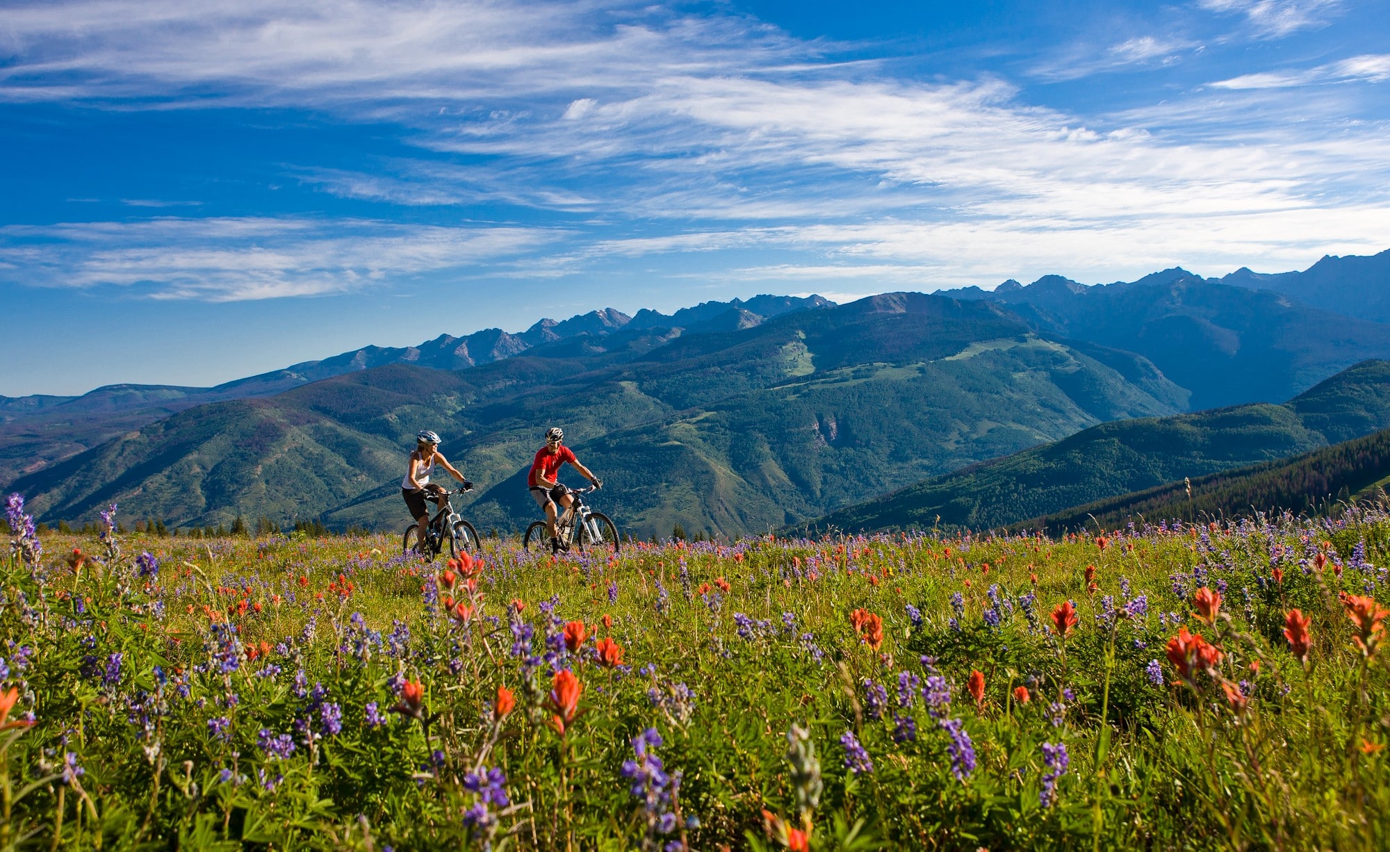 A couple mountain bikes on Vail Mountain with rugged mountains in the background and colorful wildflowers peppering the grass in the foreground.