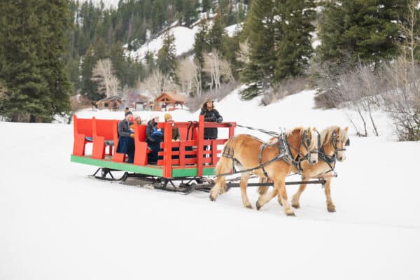 family sleigh riding in the winter in vail 