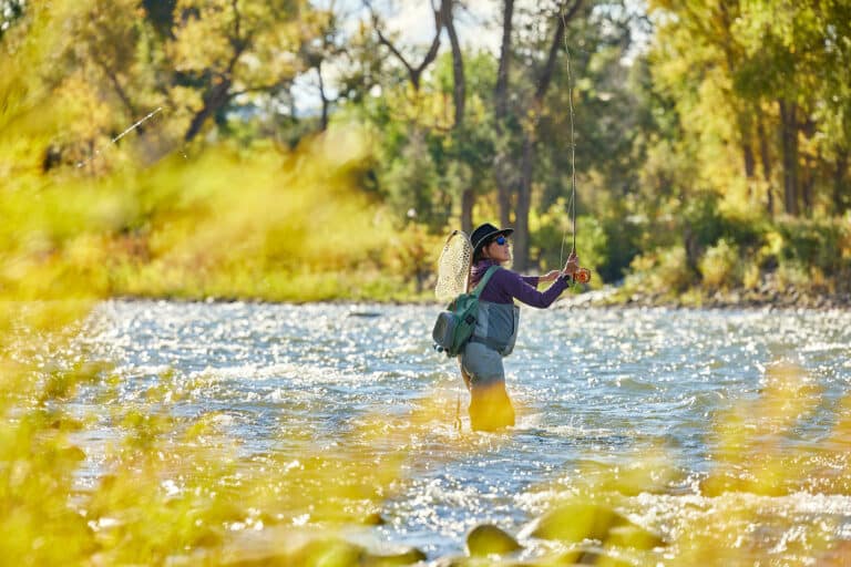 A woman is fly fishing in the beautiful river of Vail.