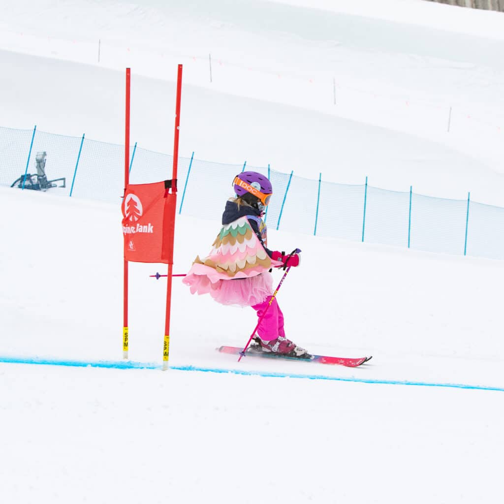 The Steadman Clinic Vail Cup