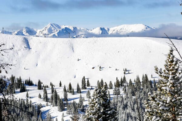 A section of Vail Mountain is covered with a thick blanket of snow. Thin, serpentine trails through the powder shows signs of skiing and snowboarding activity.