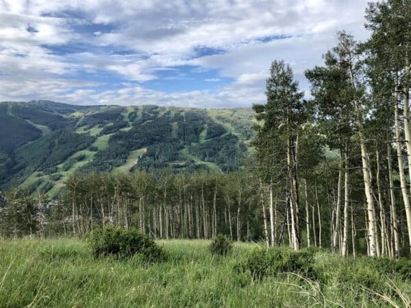 Son of Middle Creek hillside along trail