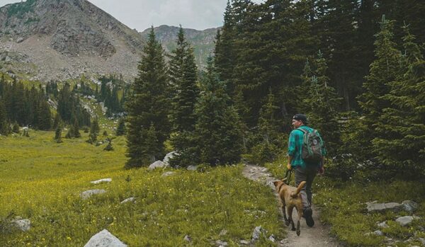 A man hikes along a dirt path in Vail with a dog. The trail is surrounded by tall evergreen trees and a mountain is in the background ahead of them.