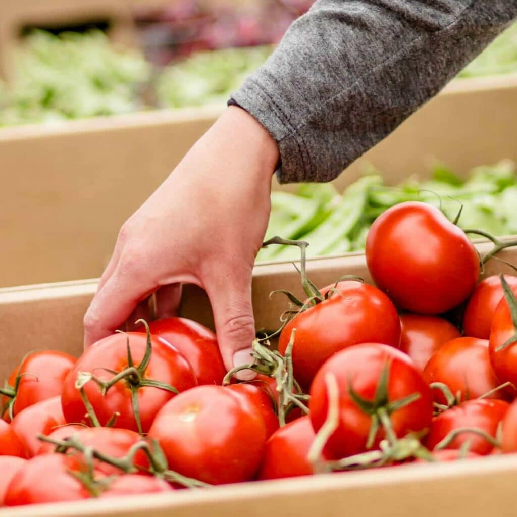 Thursday Meadow Market