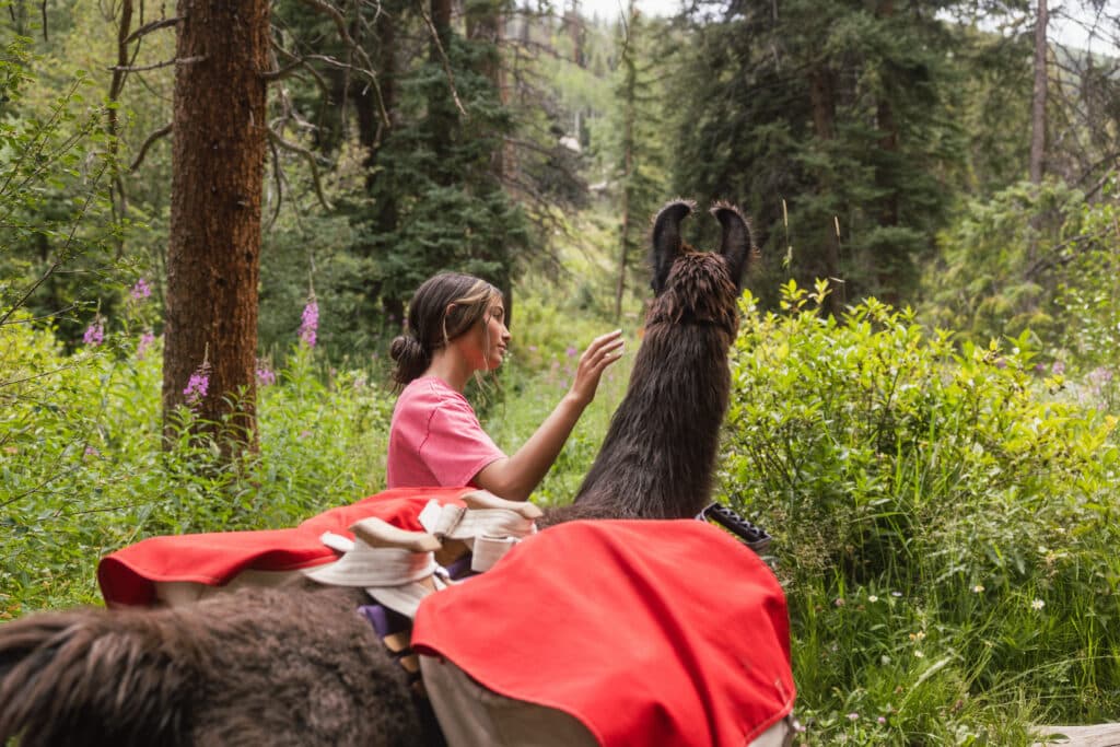 Girl hiking while petting a llama.