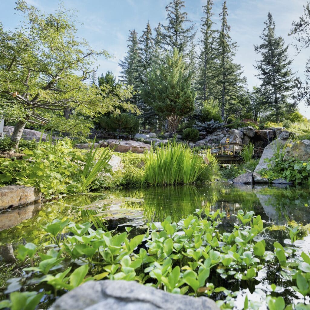 Guided Garden Tour | BFAG