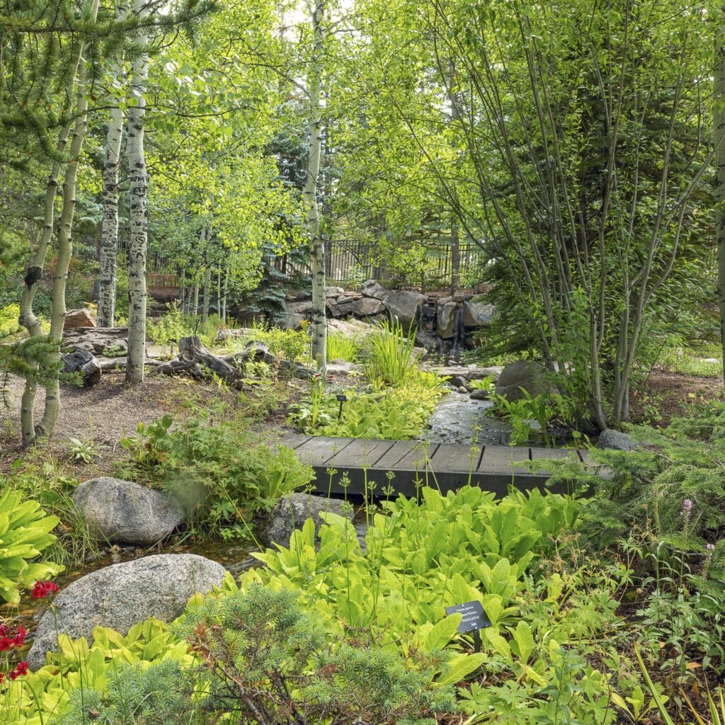 Guided Garden Tour | BFAG