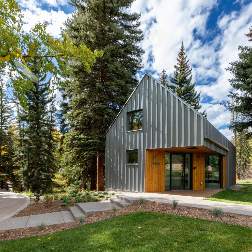 Artist in Residence | Show & Tell