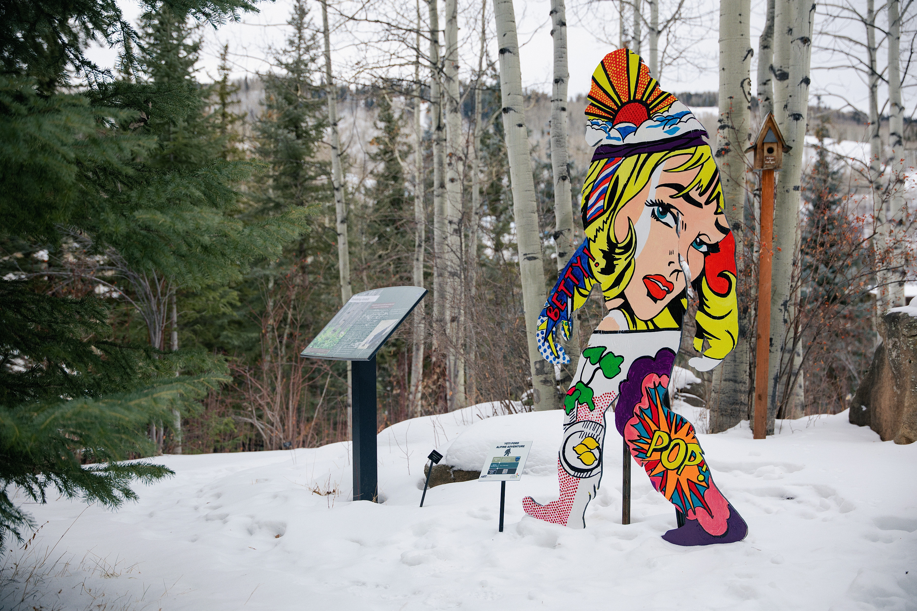 Yeti Ford Alpine Adventure