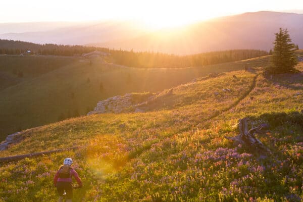 A mountain biker rides along a mountain path with a low sun shining in the background near Vail, Colorado.