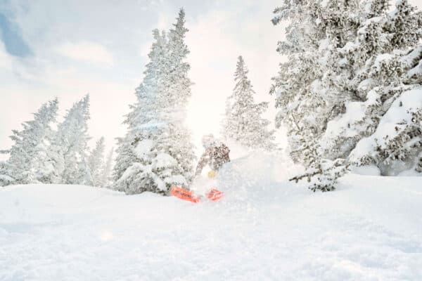 A skier zips through white fluffy snow as the sun shines from above through the trees. Snow mists all around.