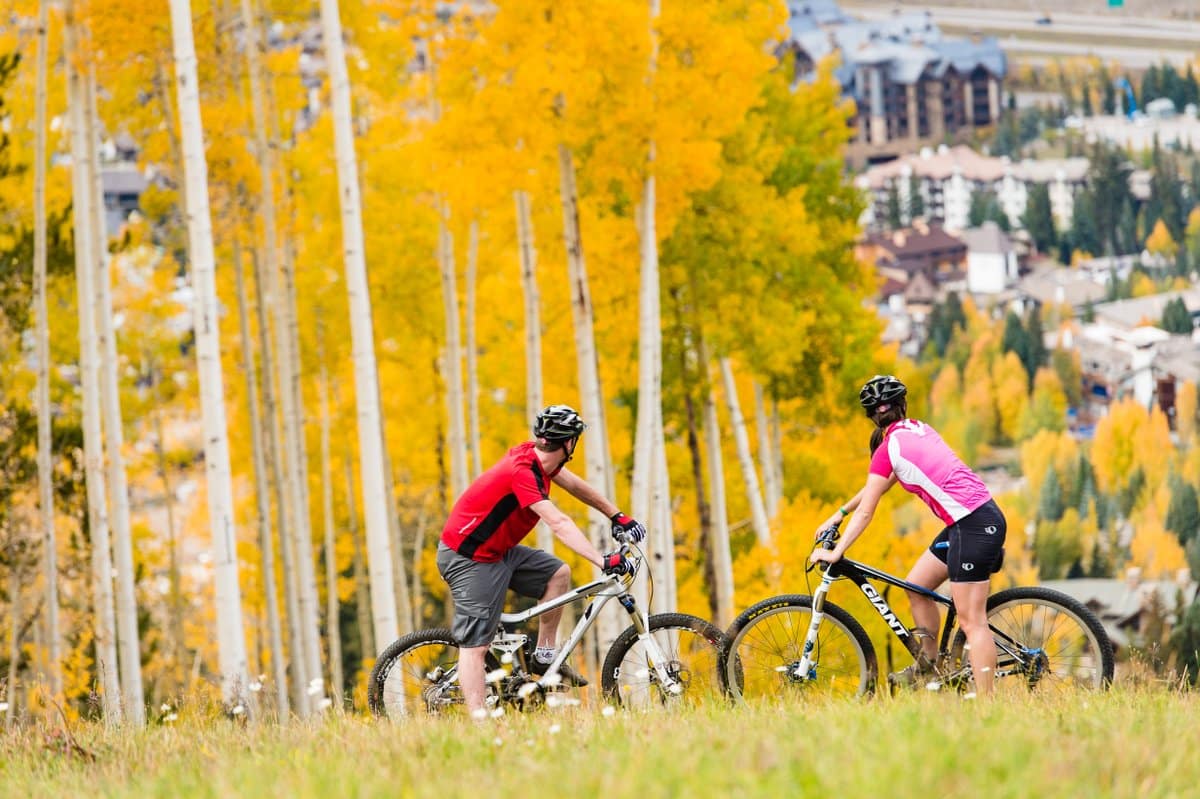 Two people face each other on bikes, stopped, looking at the bright yellow aspen trees in Vail, Colorado